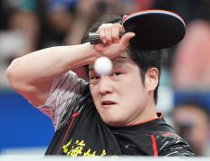 开云体育APP下载-日本队碾压葡萄牙队，樊振东刷新纪录