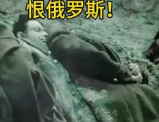 开云APP-关于波兰遇强敌德国，展开殊死搏斗争取晋级的信息