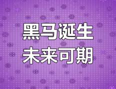 开云体育中国-包含黑马崭露头角，实力堪比传统豪门的词条