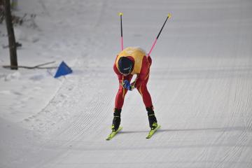 开云体育官网-瑞典越野滑雪选手夺冠，技艺高超