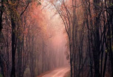 开云体育官方网站-关于拉沃尔杯险胜美网，辛纳状态火热的信息