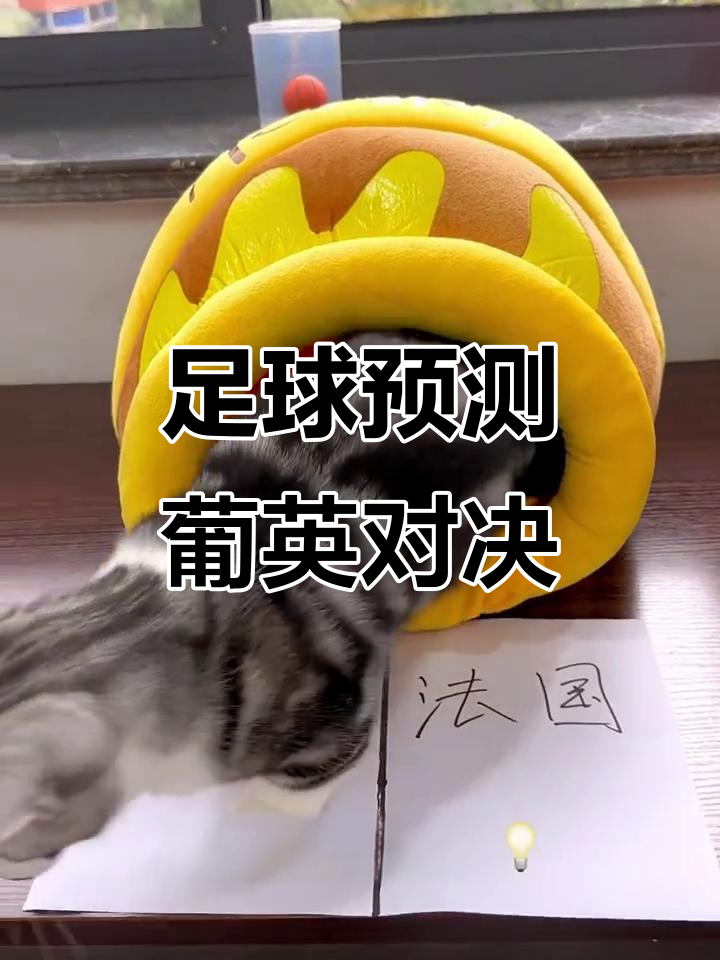 开云官方app入口-关于葡萄牙逆袭晋级，瑞士英格兰取得出线权连续晋级的信息