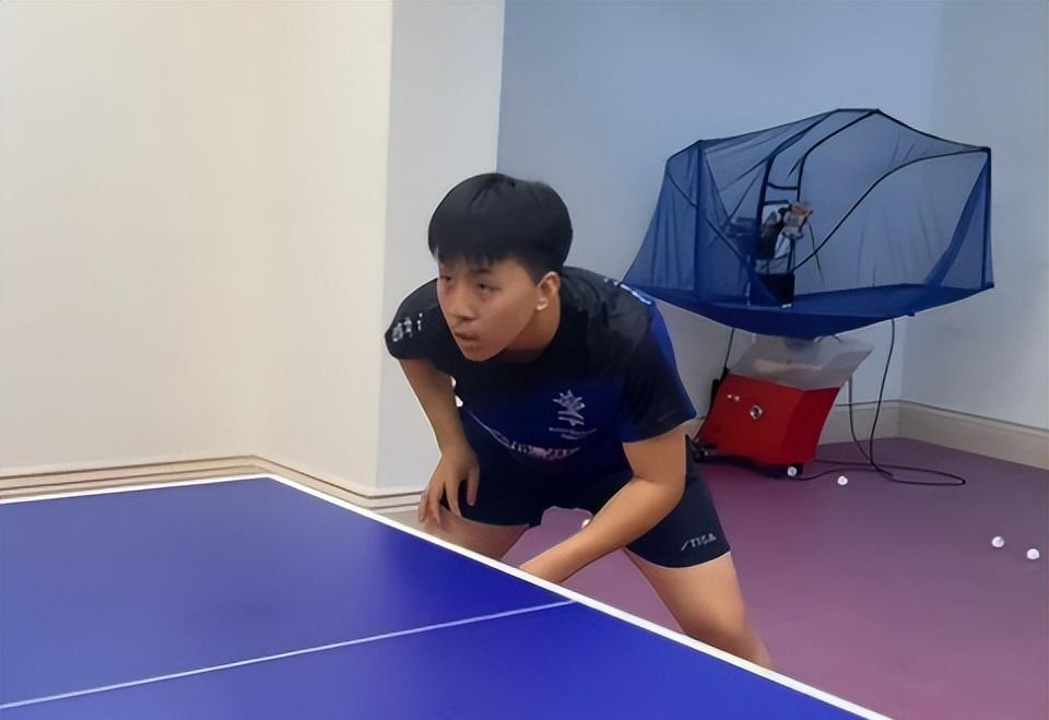 开云体育-百大赛事！体坛新星崭露头角