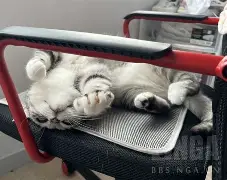 开云体育APP下载-关于澳洲四巫希望连胜须战拘余的信息