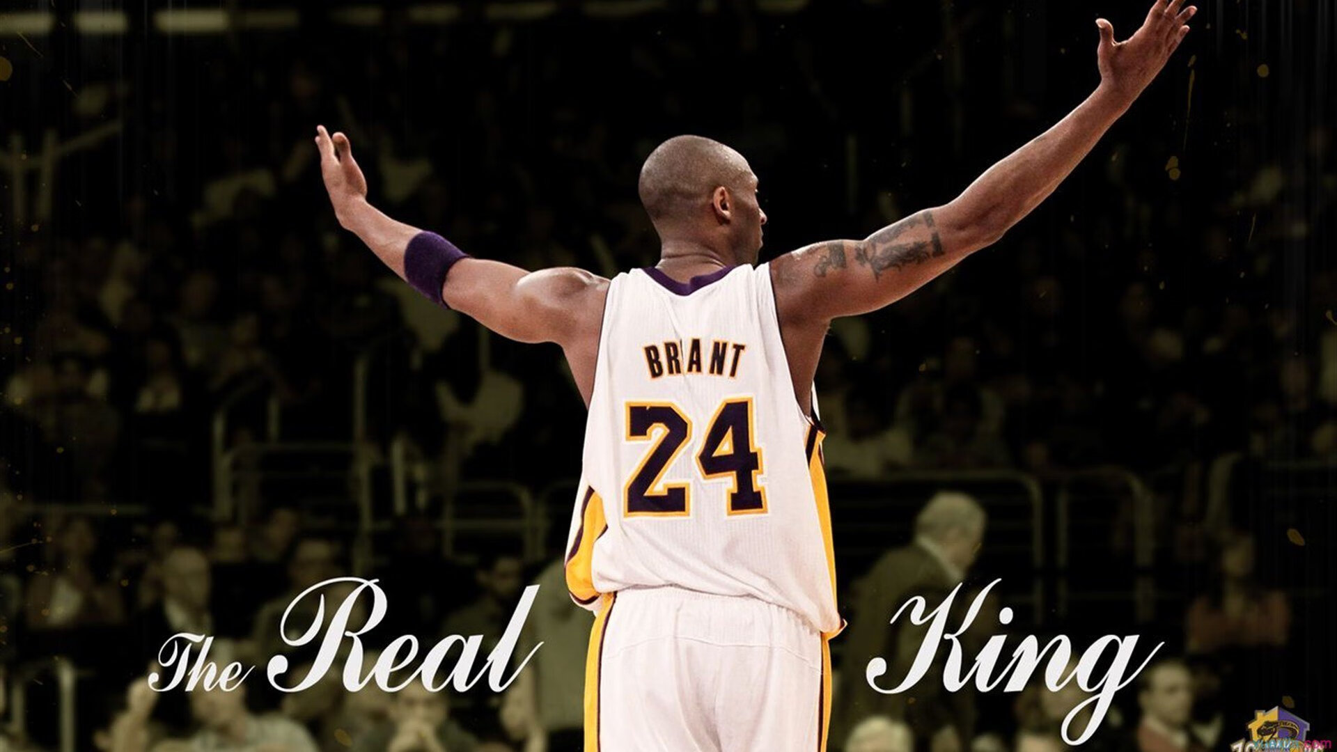 开云体育app-从替补席到绝杀英雄,英格拉姆的救赎一击如何撕碎数据暴政